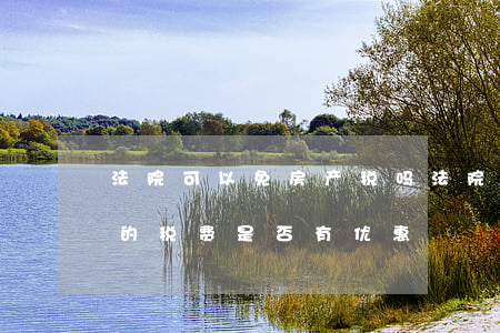 法院可以免房产税吗(法院执行房产强制过户的税费是否有优惠)