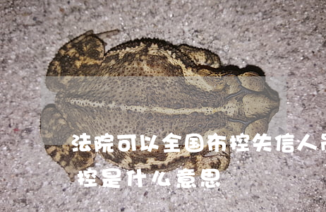 法院可以全国布控失信人员吗(失信人全国布控是什么意思)