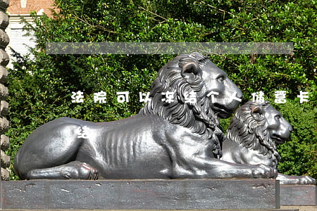 法院可以冻结个人储蓄卡吗(储蓄卡被司法冻结)