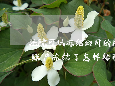 法院可以冻结公司的所有账户吗(法院把公司账户冻结了,怎样处理)