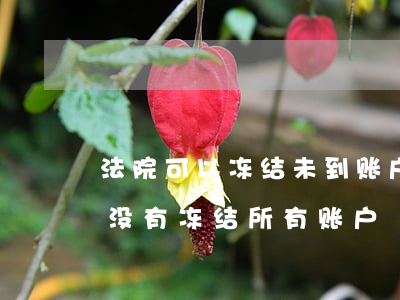 法院可以冻结未到账户的资金吗(法院为什么没有冻结所有账户)