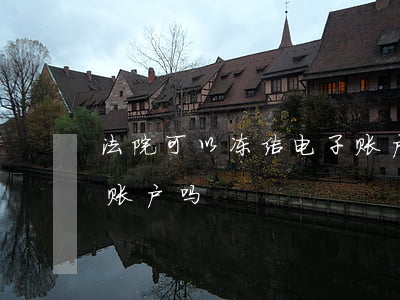 法院可以冻结电子账户吗(法院可以冻结电子账户吗)