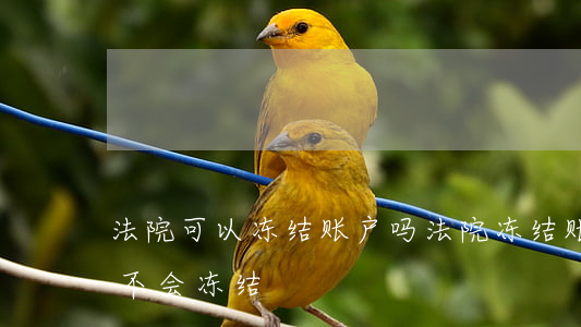 法院可以冻结账户吗(法院冻结账户新开的会不会冻结)