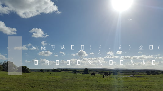 法院可以凍結(jié)企業(yè)托管專用賬戶嗎(公司賬戶司法凍結(jié))