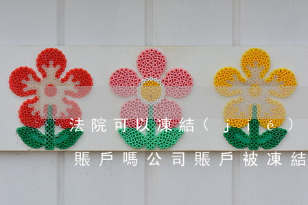 法院可以凍結(jié)企業(yè)社保賬戶嗎(公司賬戶被凍結(jié)社保怎么處理)