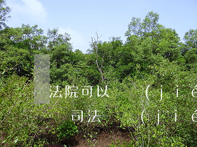 法院可以凍結(jié)企業(yè)銀行嗎(司法凍結(jié)銀行可以解凍嗎)