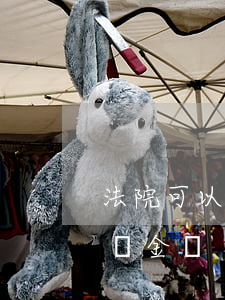 法院可以凍結(jié)債務(wù)人公積金嗎