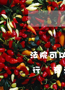 法院可以凍結(jié)公司銀行賬戶嗎(銀行沒有法院判決可以凍結(jié)賬戶嗎)