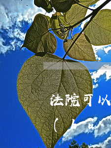 法院可以凍結(jié)妻子的銀行卡嗎(會(huì)凍結(jié)妻子的銀行卡嗎)