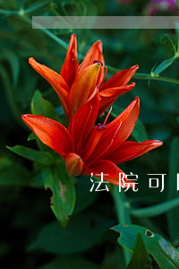 法院可以凍結(jié)工資賬戶嗎