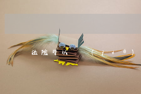 法院可以凍結(jié)微信夢想資金嗎