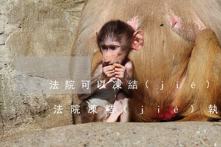法院可以凍結(jié)我妻子的銀行卡嗎(法院凍結(jié)執(zhí)行人銀行卡妻子銀行卡會(huì)凍結(jié)嗎)
