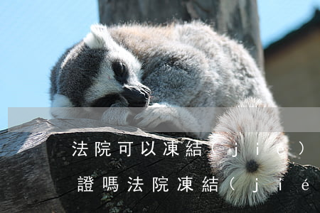 法院可以凍結(jié)房產(chǎn)證嗎(法院凍結(jié)的房產(chǎn)怎么申請解凍)