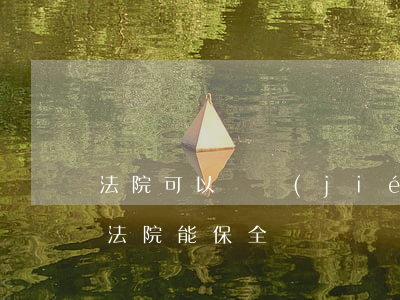 法院可以凍結(jié)抵押車嗎(抵押的車法院能保全嗎)