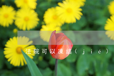 法院可以凍結(jié)拍賣嗎