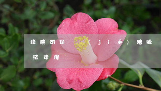 法院可以凍結(jié)暗股嗎(公司暗股受法律保護嗎)
