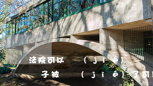 法院可以凍結(jié)沒過戶的車嗎(如果車子被凍結(jié)了可以過戶嗎)