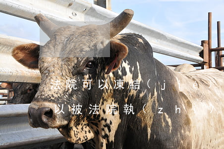 法院可以凍結(jié)自建房嗎(自建房可以被法院執(zhí)行嗎)