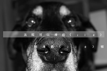 法院可以凍結(jié)行用卡嗎(法院可以強制凍結(jié)被告人的銀行卡嗎)