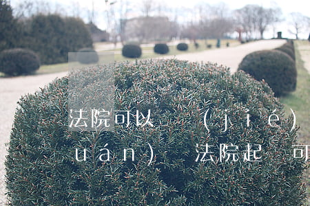 法院可以凍結(jié)被告到期債權(quán)嗎(法院起訴可以凍結(jié)被告所有資產(chǎn)嗎?)