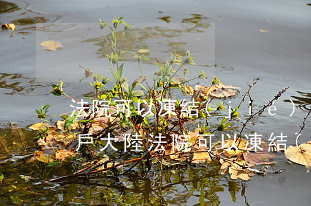 法院可以凍結(jié)香港存款嗎(香港賬戶大陸法院可以凍結(jié)嗎)