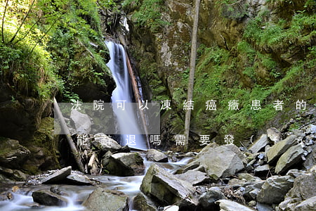法院可以凍結癌癥患者的工資嗎(員工得癌癥能辭退嗎需要發(fā)工資嗎)