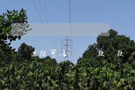 法院可以凍結貸款還款賬戶嗎