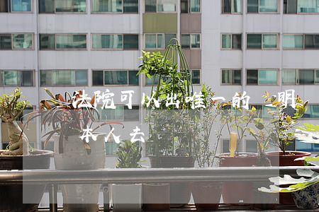 法院可以出唯一的證明嗎(法院生效證明必須本人去嗎?)