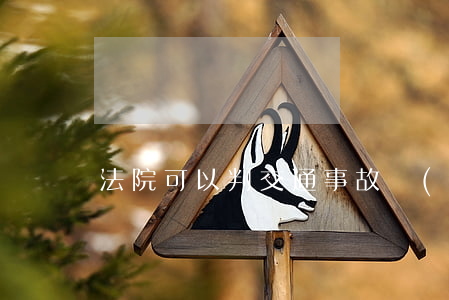 法院可以判交通事故責(zé)任嗎