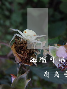 法院可以判交通事故責(zé)任書無效嗎(沒有交通事故責(zé)任書能起訴嗎)
