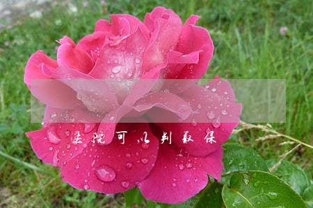 法院可以判取保嗎