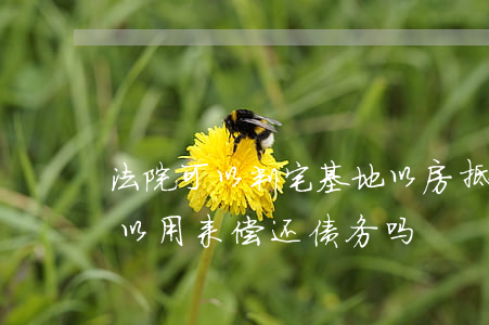 法院可以判宅基地以房抵债吗(农村宅基地可以用来偿还债务吗)