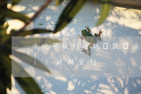 法院可以判延期還款嗎(法院為什么會(huì)延期宣判)