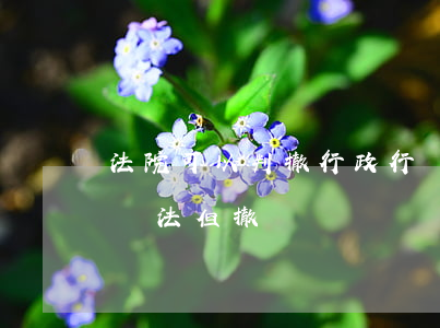 法院可以判撤行政行為嗎(被訴具體行政行為違法,但撤銷)
