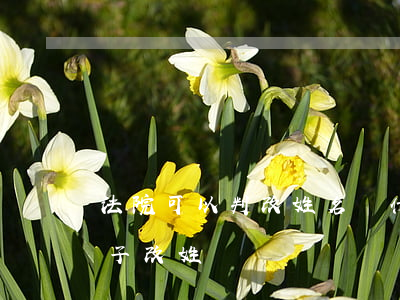 法院可以判改姓名嗎(什么情況下法院會判孩子改姓)