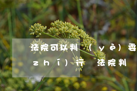 法院可以判業(yè)委會(huì)執(zhí)行嗎(法院判業(yè)委會(huì)成立不合法)