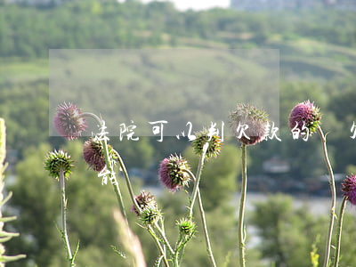 法院可以判欠款的嗎(欠款人被判刑欠的錢還能還嗎)