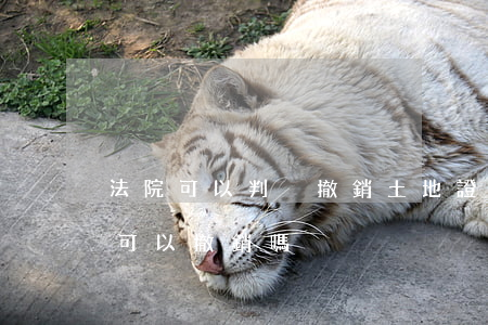 法院可以判決撤銷土地證嗎(法院判決書下來可以撤銷嗎)