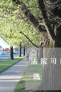 法院可以判決被告嗎(法院可以作為被告起訴嗎)