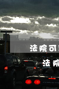 法院可以判決賣方強(qiáng)制賣房嗎(法院判決的房子可以賣給別人么)