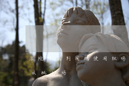 法院可以判用地使用权吗(土地使用权法院可以执行吗)