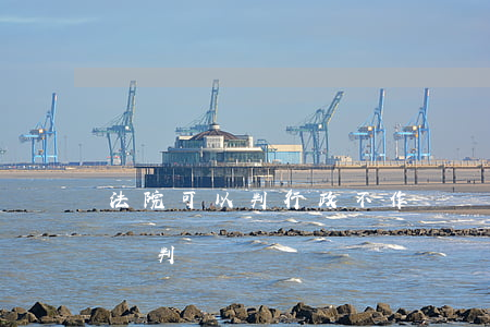 法院可以判行政不作為嗎(行政訴訟可以缺席審判嗎)