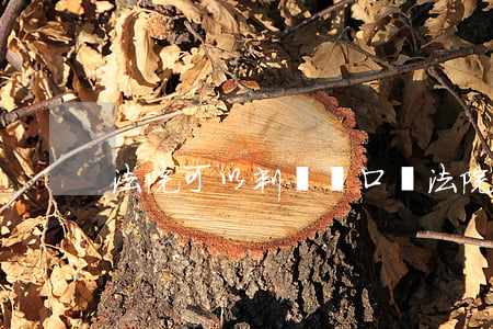 法院可以判遷戶口嗎(法院有起訴能遷戶口嗎)