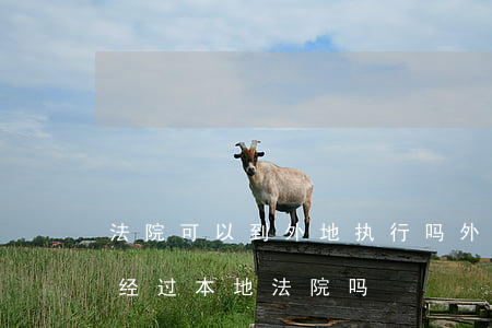 法院可以到外地执行吗(外地法院强制执行要经过本地法院吗)