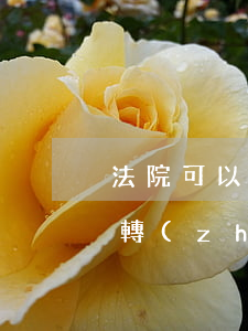 法院可以劃走信用卡里的錢嗎(能往信用卡里轉(zhuǎn)錢嗎)