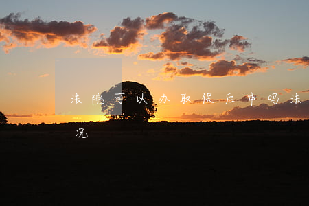 法院可以办取保后申吗(法院让办取保什么情况)