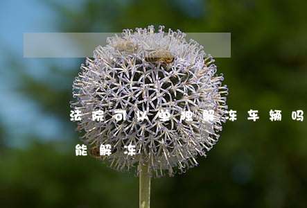 法院可以单独解冻车辆吗(法院冻结车辆多久能解冻)