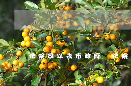 法院可以去市政府嗎(法院受政府管嗎)