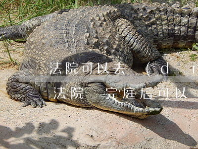 法院可以去當(dāng)事人單位開庭嗎(法院開完庭后可以見當(dāng)事人嗎)
