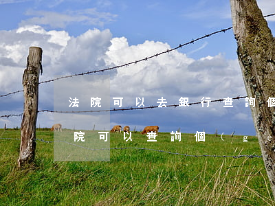 法院可以去銀行查詢個(gè)人信息嗎(法院可以查詢個(gè)人名下所有銀行卡嗎)